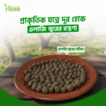 Allergy-jor