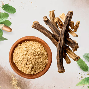 Ashwagandha অশ্বগন্ধা