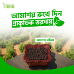 amashoy-botika