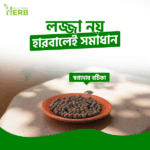 স্বপ্নদোষের বটিকা