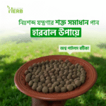 অশ্ব ও পাইলস বটিকা